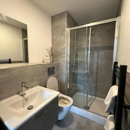 Stylish Free Parking & Gym Apartment
